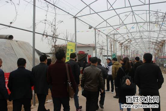 河北磁縣舉辦“慶兩會、送技術”蒲公英專題培訓會