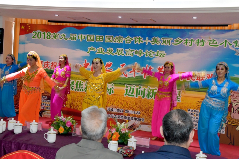 2018第九屆中國田園綜合體+美麗鄉村特色小鎮產業發展高峰論壇在京召開