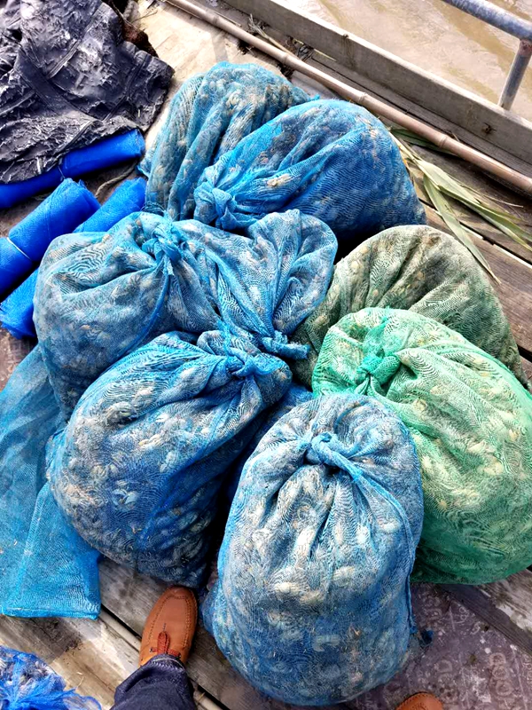 長航上海警方破獲一起破壞長江生態環境案件