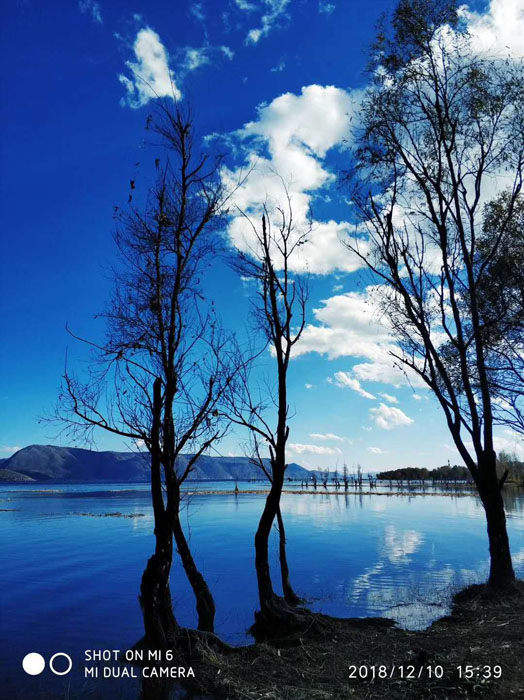 任彤手機(jī)拍——洱海