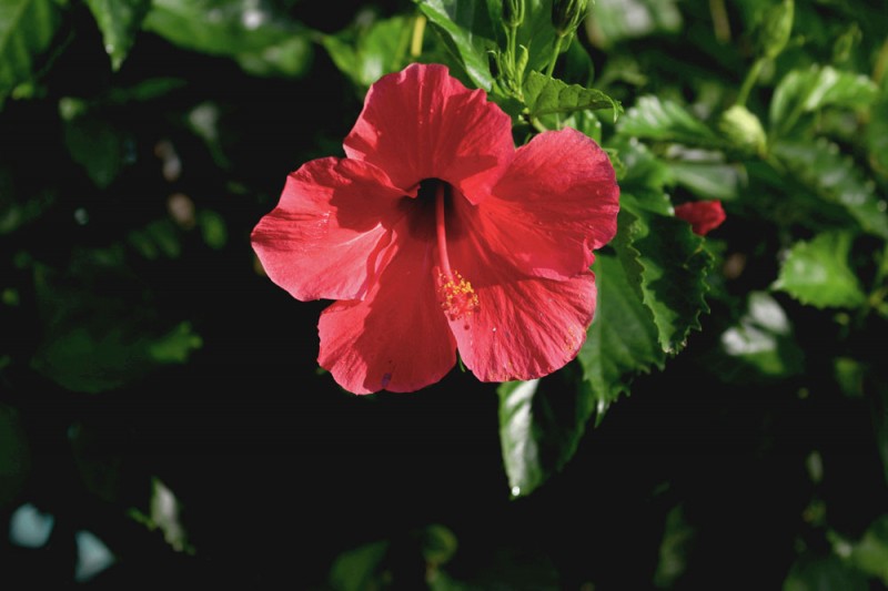 常貴武攝影作品選登