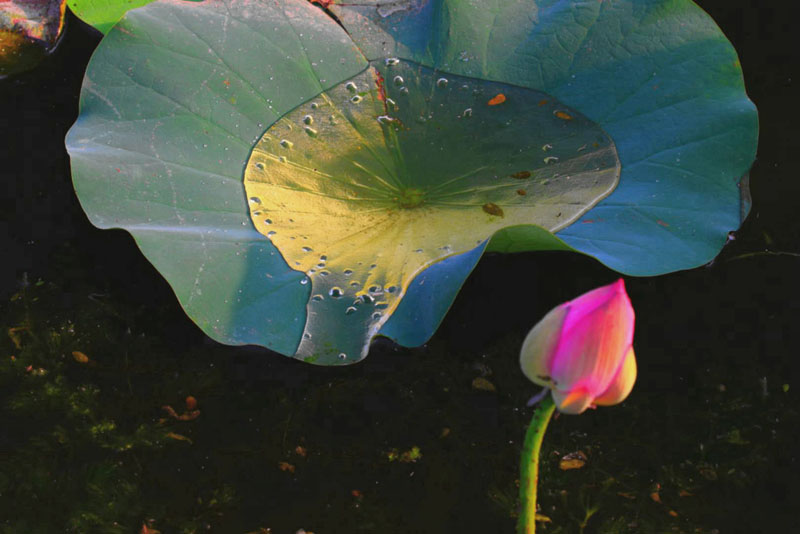 常貴武攝影作品選登