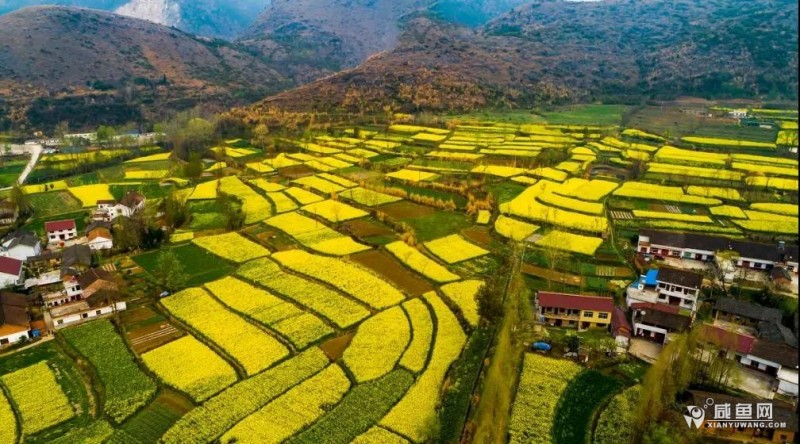 比一比陜西那個城市你最喜歡！