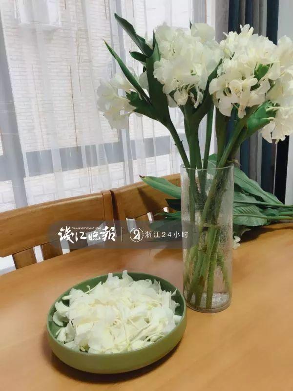 羨慕！他為妻子打造500多種植物花園，只為結婚時一個許諾！