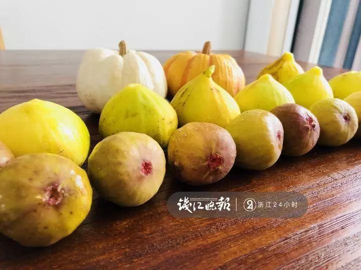 羨慕！他為妻子打造500多種植物花園，只為結婚時一個許諾！