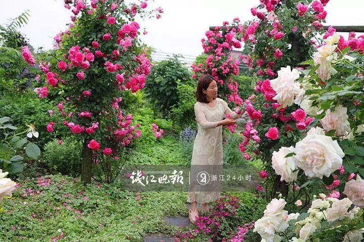 羨慕！他為妻子打造500多種植物花園，只為結婚時一個許諾！