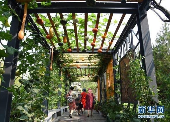 北京世園會迎來“山東日”