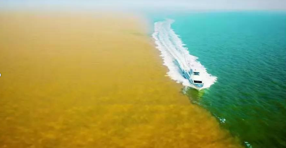 黃河口實(shí)力刷屏——中國·東營首屆短視頻網(wǎng)紅大會收官