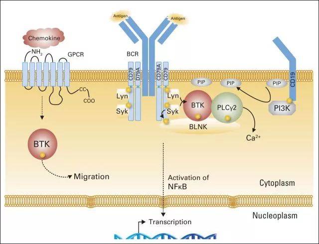 中國自主研發抗癌新藥在美獲批上市