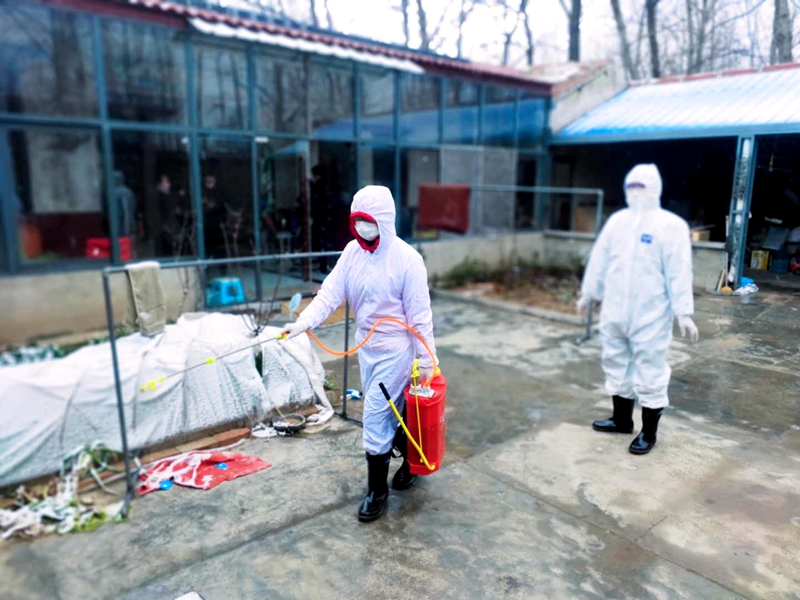  白衣使者 情暖桃鄉 ——省派業務院長左曉莉同志抗擊疫情工作紀