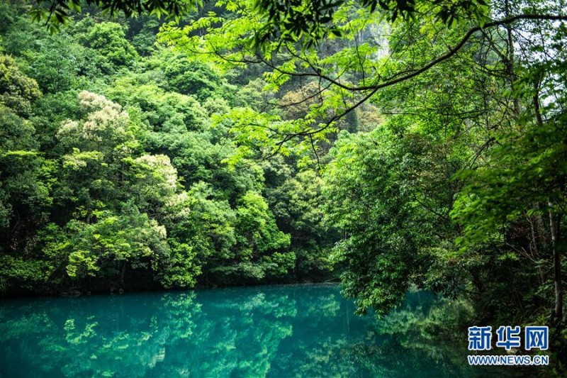 鏡頭帶你走進貴州荔波小七孔 青山秀水春光美