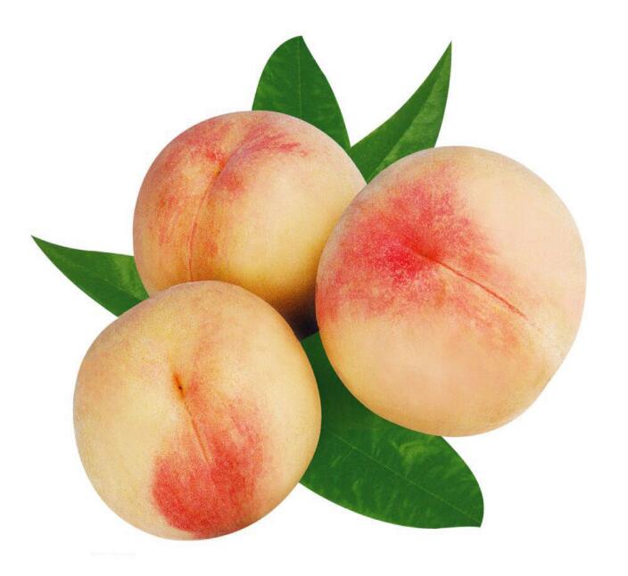 陽山水蜜桃種植基地——記楊宏偉莊主融界與跨界完美結合