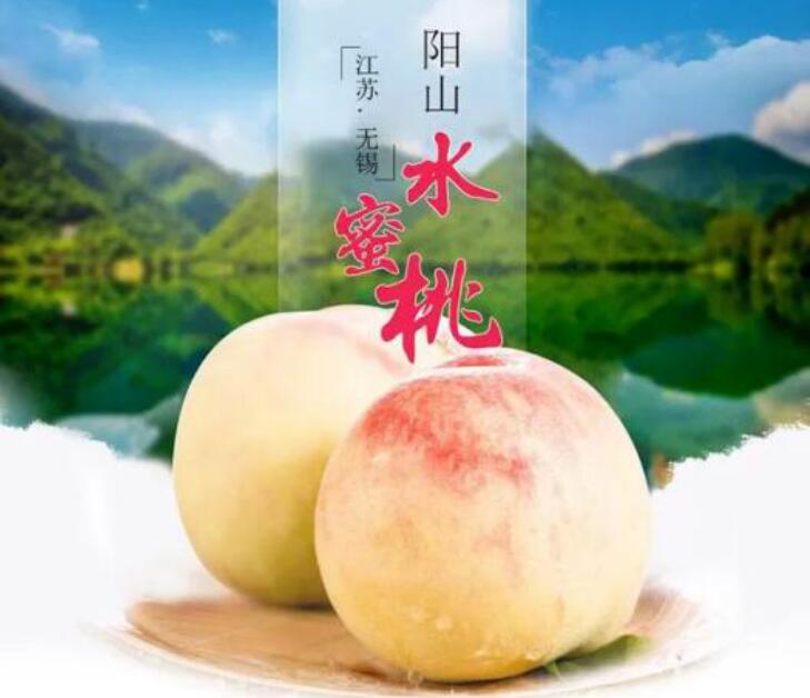 陽山水蜜桃種植基地——記楊宏偉莊主融界與跨界完美結合