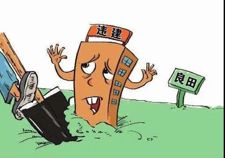 堅(jiān)決遏制亂占耕地建房，還需要怎樣用力？