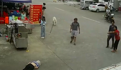 老人被狗繩絆倒身亡，專家：涉事女孩不構(gòu)成犯罪但有民事責(zé)任