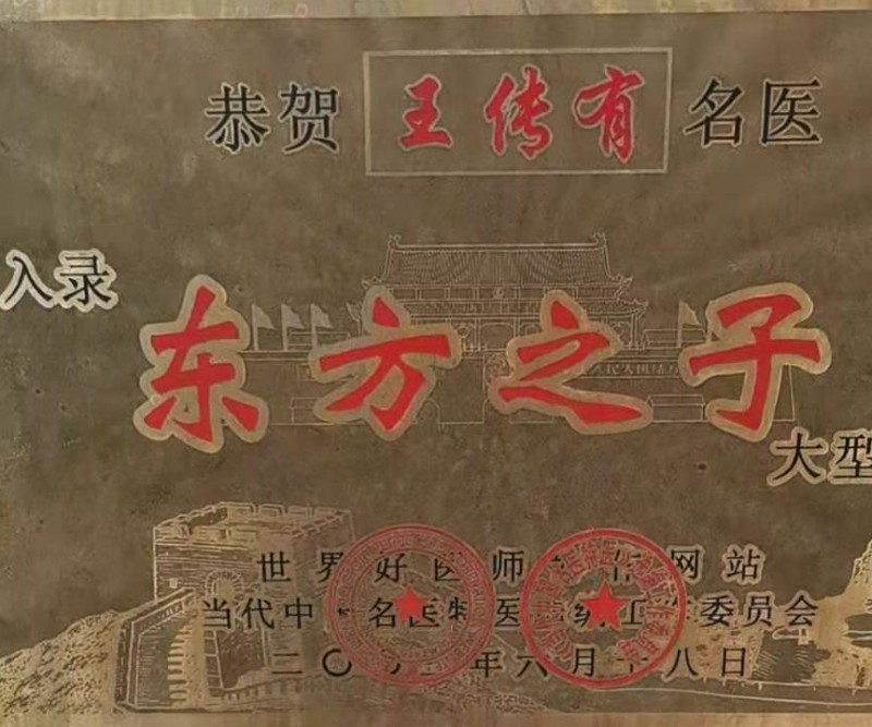  當代名醫王傳友,御醫王天中醫傳人