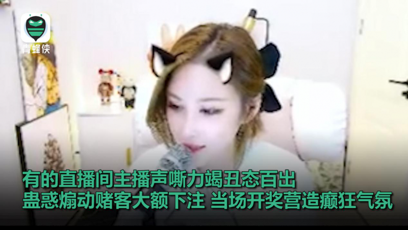 輸光學費、房款、公款……直播間聚賭網上蔓延 毒害青少年觸目驚心