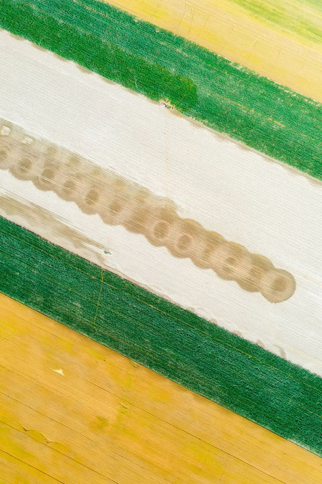 什么是中國夏天最美的景色？