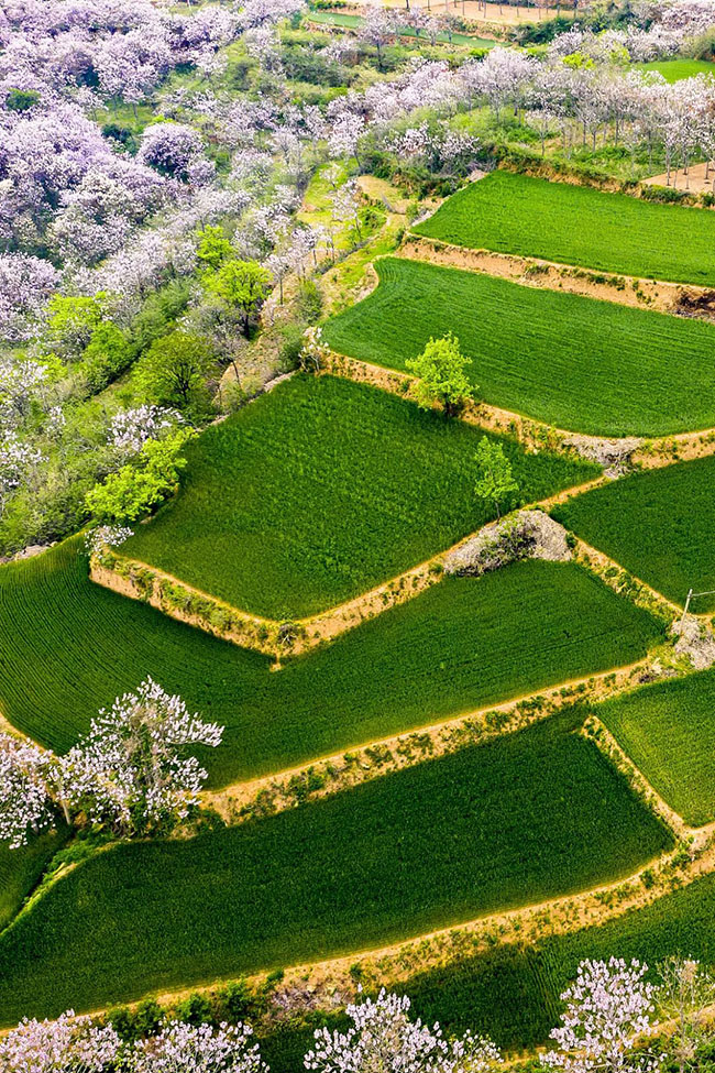 什么是中國夏天最美的景色？