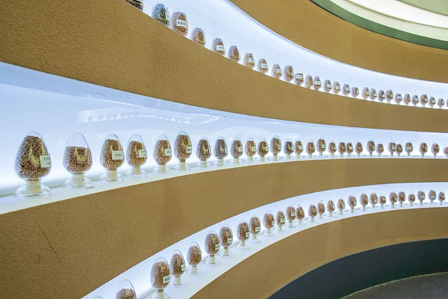 什么是中國夏天最美的景色？