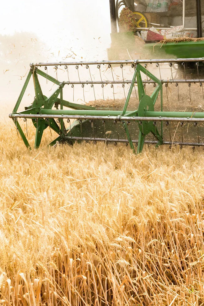 什么是中國夏天最美的景色？