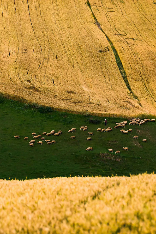 什么是中國夏天最美的景色？