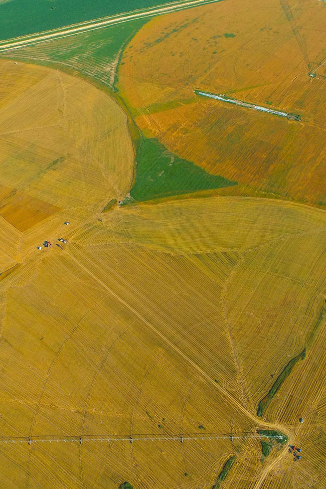 什么是中國夏天最美的景色？