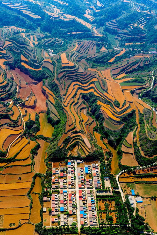 什么是中國夏天最美的景色？