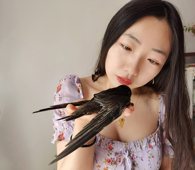 小說家杜梨 在頤和園上班