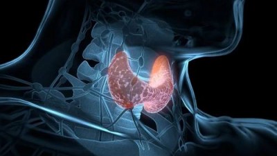 甲狀腺結節(jié)高發(fā)，到底要不要吃碘鹽？