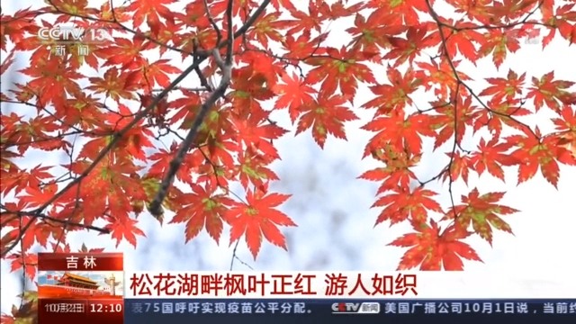 三星堆、九寨溝、云岡石窟……多個(gè)旅游熱門目的地現(xiàn)大客流