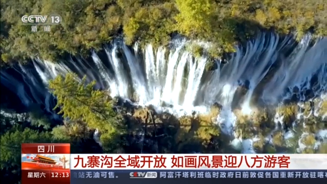 三星堆、九寨溝、云岡石窟……多個(gè)旅游熱門目的地現(xiàn)大客流