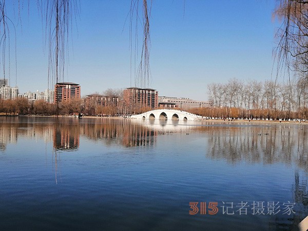 李月手機拍圖——玉淵潭公園冰開春來