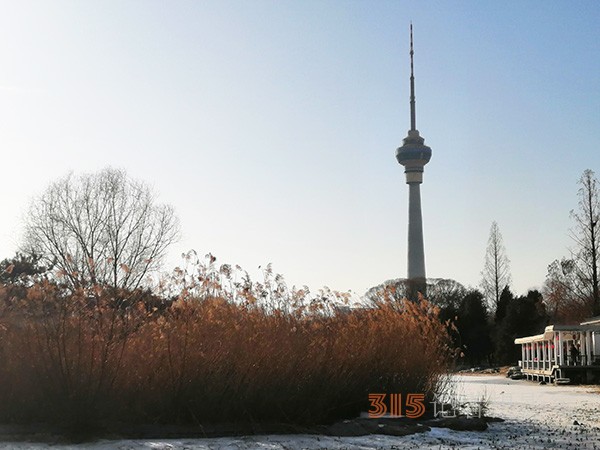 李月手機拍圖——玉淵潭公園冰開春來