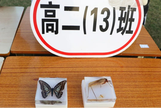 柴時(shí)鐘： 創(chuàng)新求進(jìn) 科技強(qiáng)國(guó)