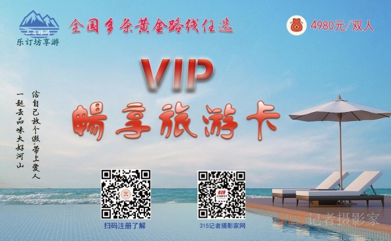 招聘:樂訂坊網+AI數字人直播定制平臺招聘專職和兼職電商運營