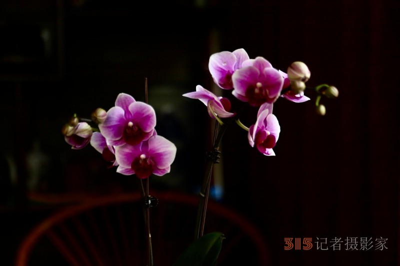 孫建軍攝影:蘭之韻