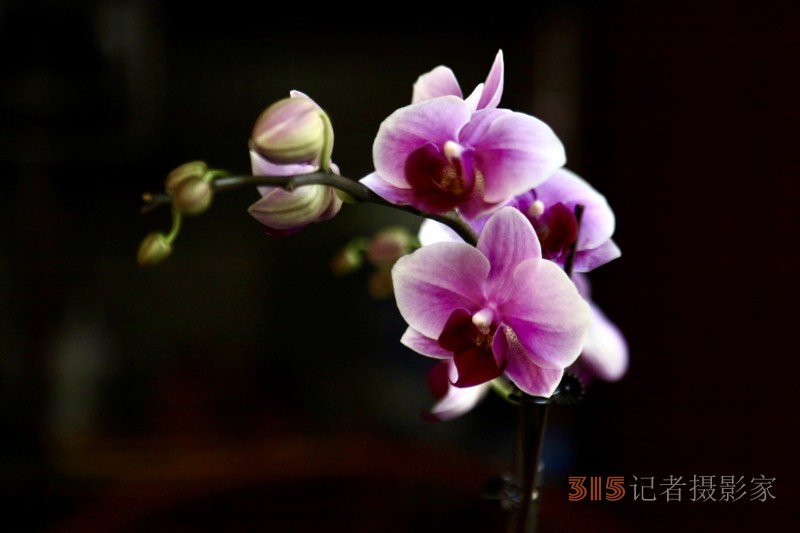 孫建軍攝影:蘭之韻