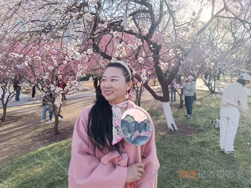 春分時節明城墻樂游賞梅