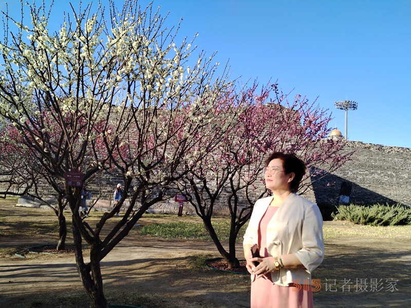 春分時節明城墻樂游賞梅