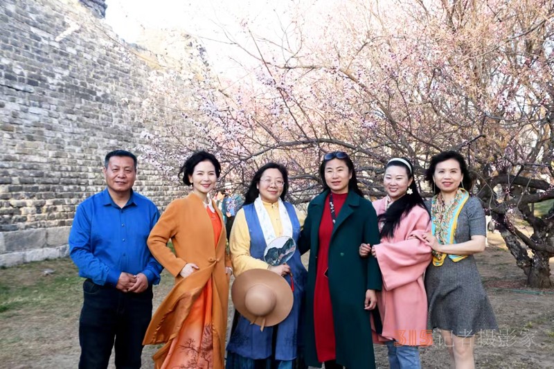 春分時節明城墻樂游賞梅