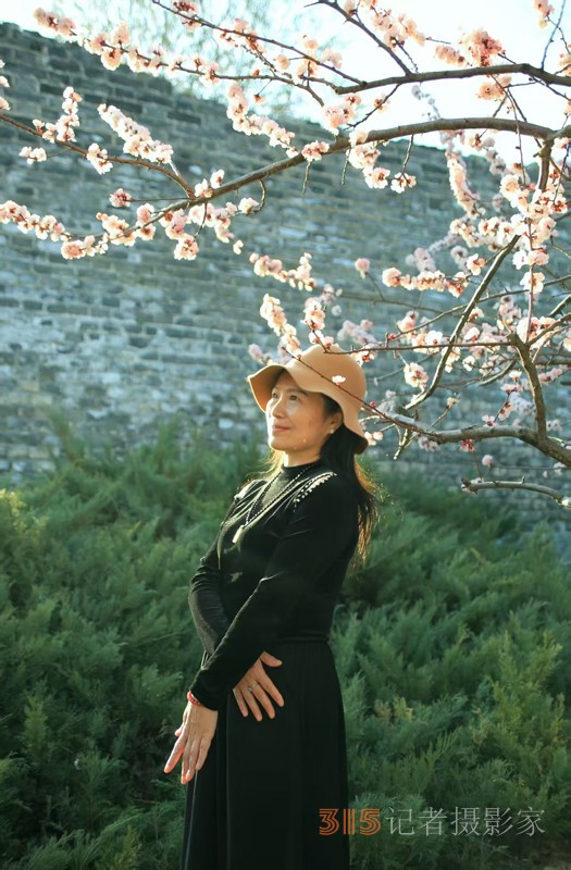 春分時節明城墻樂游賞梅