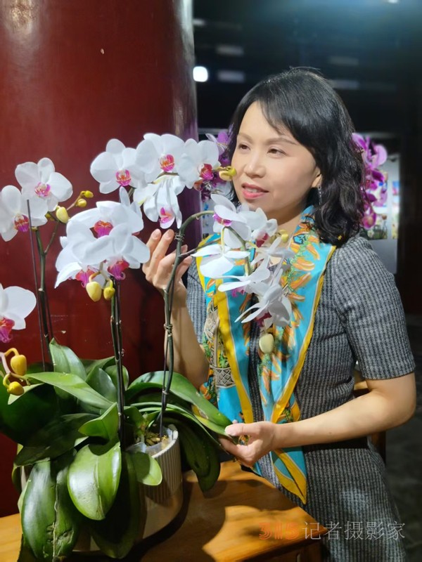 春分時節明城墻樂游賞梅