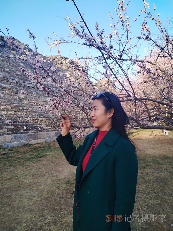 春分時節明城墻樂游賞梅