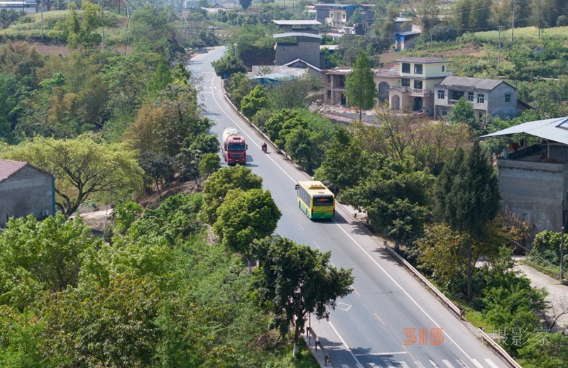 2025年4月17日，川渝8路省際公交行駛在國(guó)道212線合川區(qū)三廟鎮(zhèn)段。記者羅斌 攝/視覺(jué)重慶