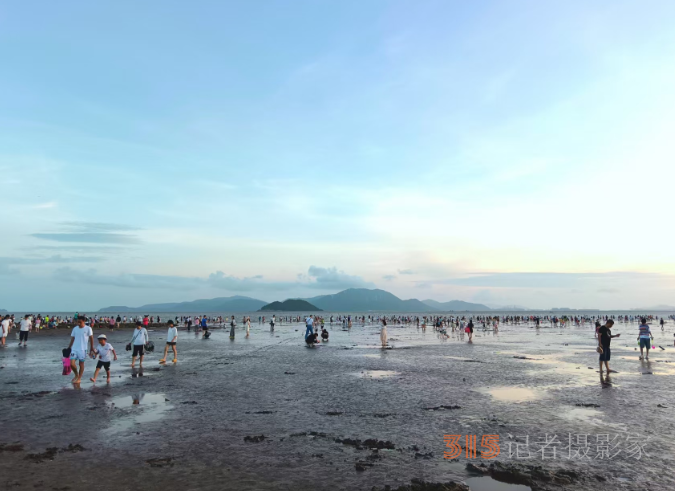 光影鑄魂，筆耕不輟 —— 王飛