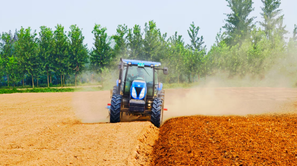 機(jī)收奏響水稻豐收曲