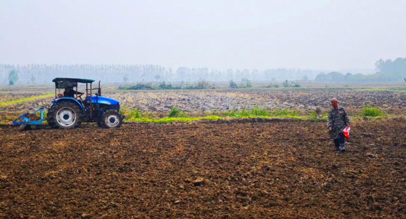 搶抓晴好天 播種小麥忙