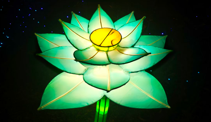 春節(jié)光影盛宴，青龍山“夜”綻華彩引客來