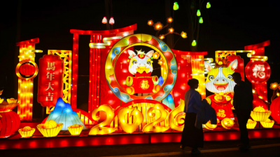 春節(jié)光影盛宴，青龍山“夜”綻華彩引客來(lái)